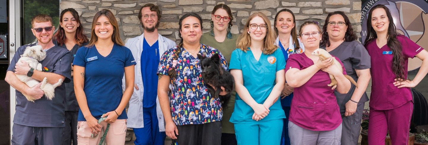 Austin store veterinary hospital